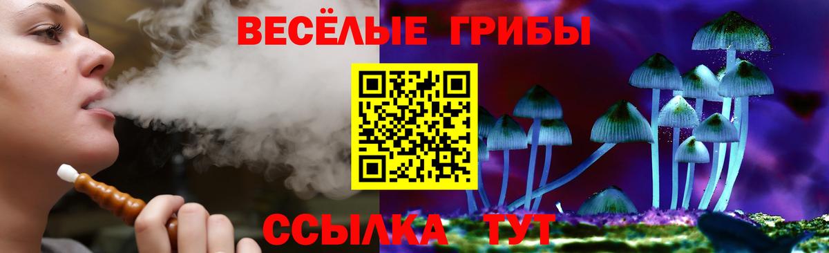 Галлюциногенные грибы Cubensis  Вход с VPN  Строитель 